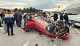 Başıboş sokak köpekleri 3 bin 476 trafik kazasına neden oldu