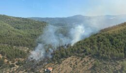 Muğla’nın Milas ilçesinde orman yangını