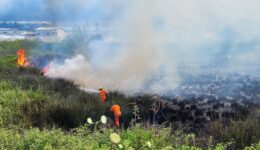 Antalya’da orman yangını – Son Dakika Haberleri