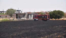 Şanlıurfa’da çıkan yangında yaklaşık 40 dönüm buğday ekili alan yandı