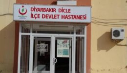 Diyarbakır’da başıboş köpeklerin saldırdığı 60 yaşındaki kadın yaralandı