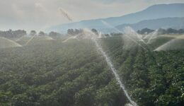 Gölköy Barajı ile 14 bin metrekarelik tarım arazisi sulanacak