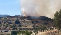 İzmir’in Bergama ilçesinde çıkan orman yangınına müdahale ediliyor