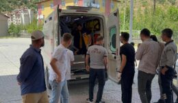 Birlis’te patpat devrildi: 8 yaralı
