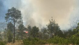 Mersin’de çıkan orman yangınına müdahale ediliyor