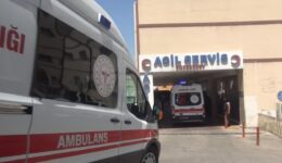 Şanlıurfa’da köpeklerin saldırısına uğrayan kişi yaralandı