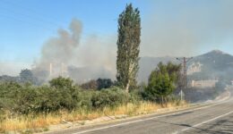 İzmir’de zirai alanda çıkan yangın kontrol altına alındı