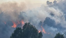 Afyonkarahisar’da dağlık alanda yangın – Son Dakika Haberleri