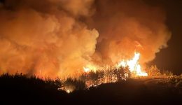 Muğla’daki yangınlarla ilgili 3 kişi gözaltına alındı